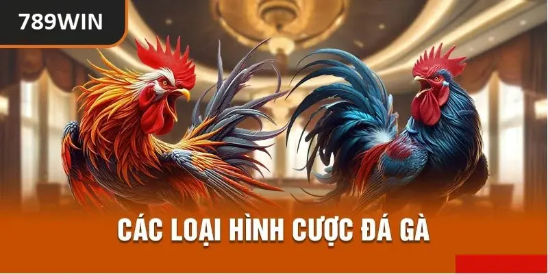 Các loại hình cược đá gà cựa sắt