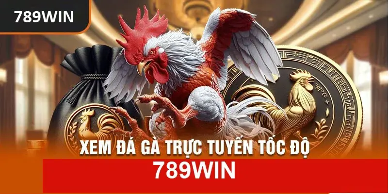 Xem đá gà trực tuyến tại 789win